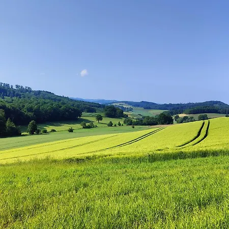 Charmantes Forsthaus Beim Sorpesee Prázdninový dům Hoevel