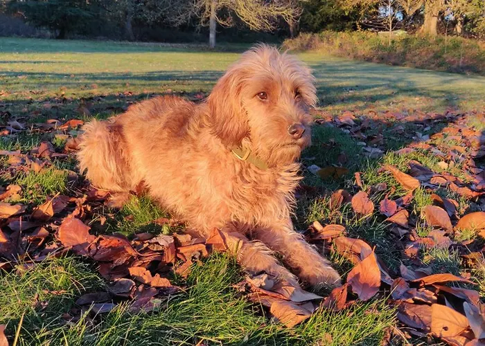 Charmantes Forsthaus Beim Sorpesee *