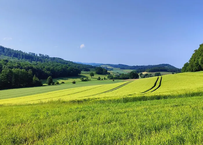 Charmantes Forsthaus Beim Sorpesee Σπίτι διακοπών Hövel